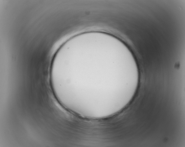 X0000113861512200910151223