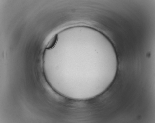 X0000113861516200910151223