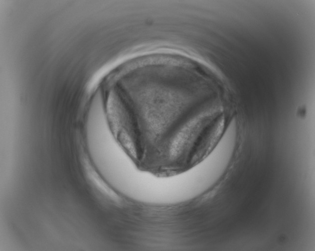 X0000113861518200910151224