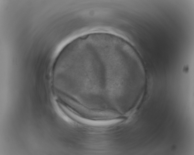X0000113861519200910151224
