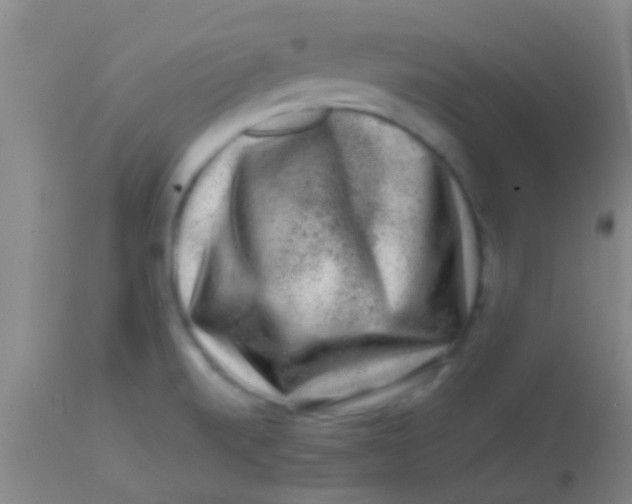 X0000113861520200910151224