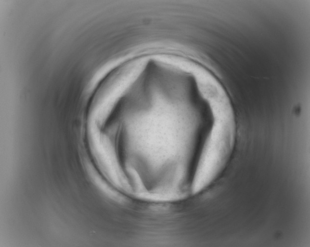 X0000113861523200910151224