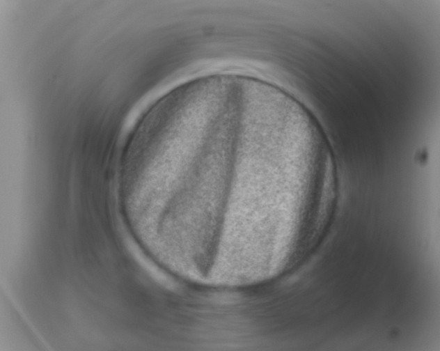 X0000113861525200910151224