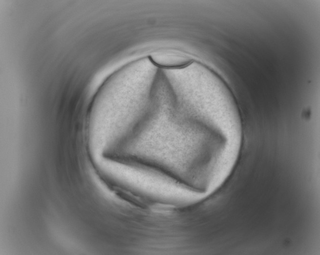 X0000113861526200910151224