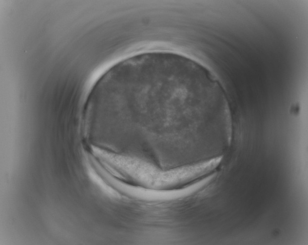 X0000113861527200910151224