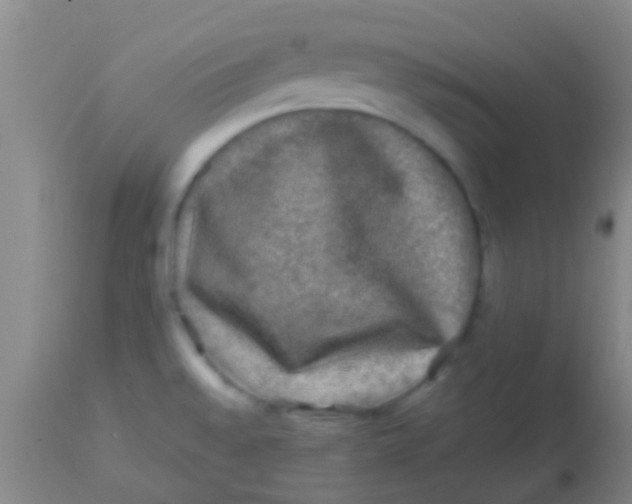 X0000113861528200910151224