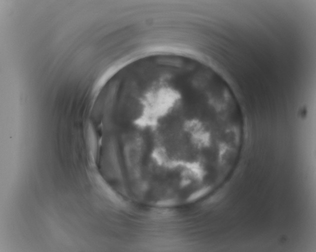 X0000113861529200910151224