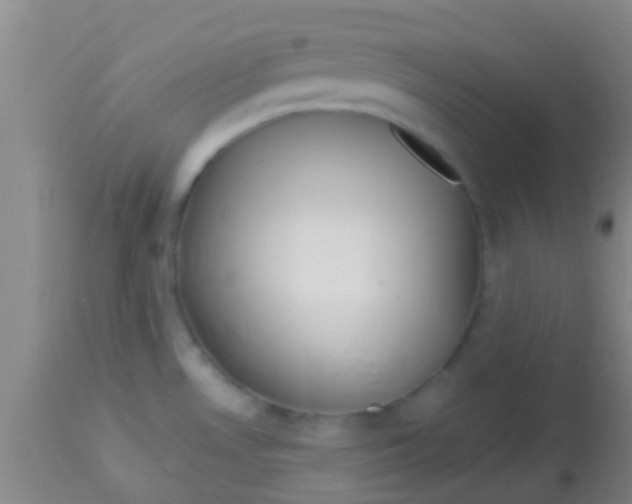 X0000113861530200910151224