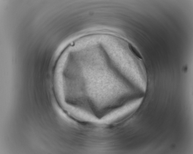 X0000113861531200910151224