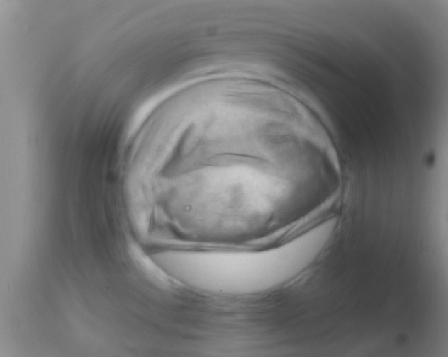 X0000113861532200910151224