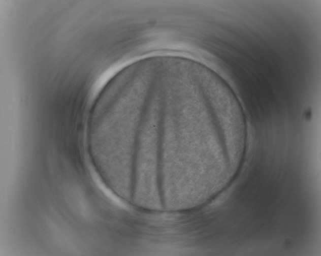 X0000113861533200910151224