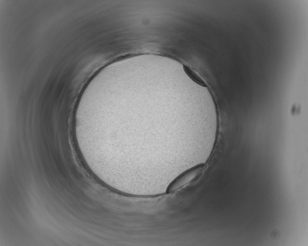 X0000113860001200910221451