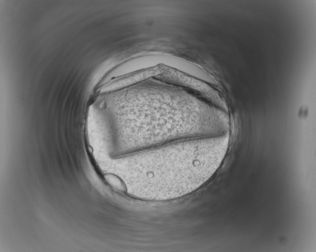 X0000113860003200910221451