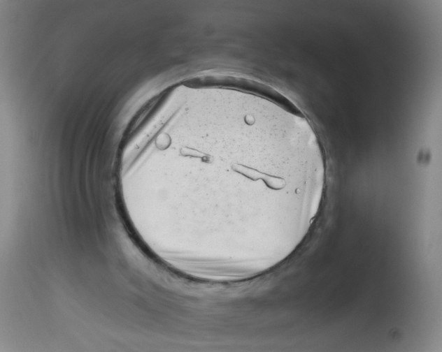 X0000113860007200910221451