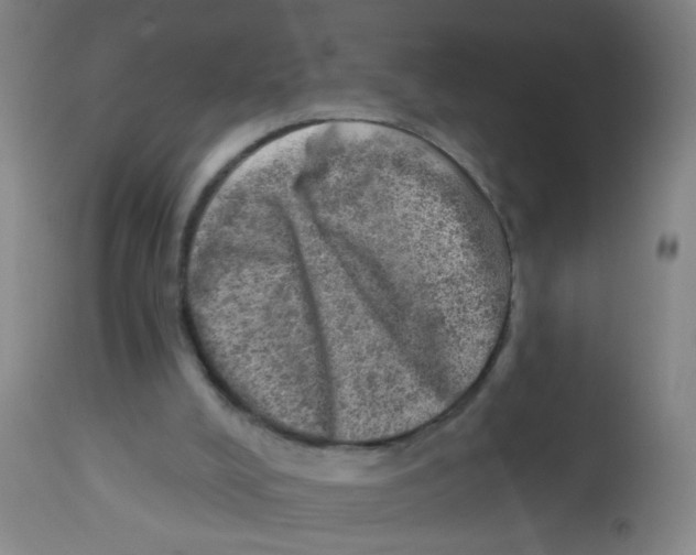 X0000113860008200910221451