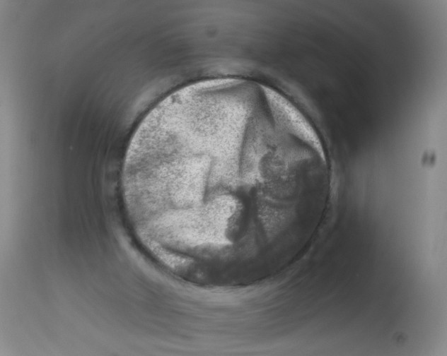 X0000113860010200910221451