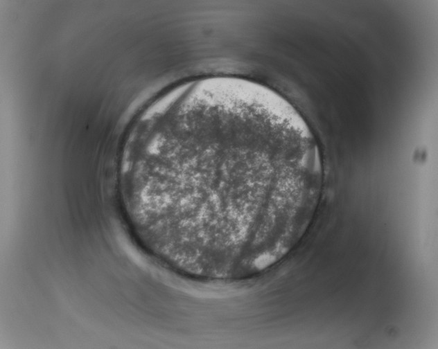 X0000113860012200910221451