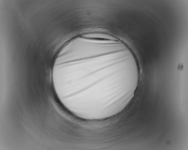 X0000113860013200910221451