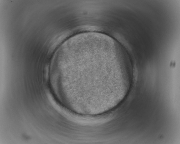X0000113860014200910221451