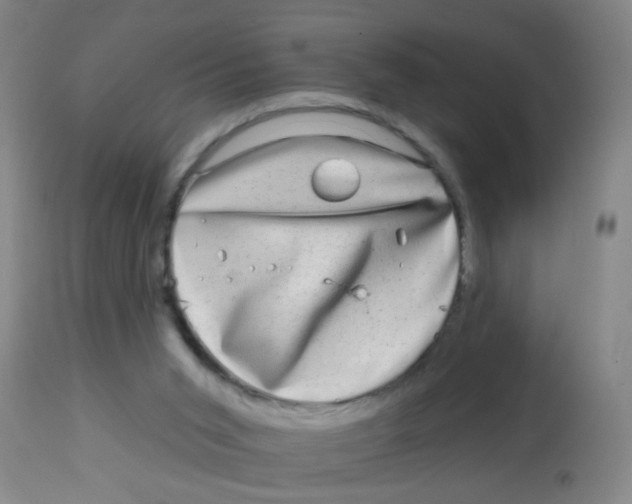 X0000113860015200910221451