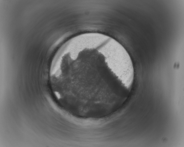 X0000113860016200910221451