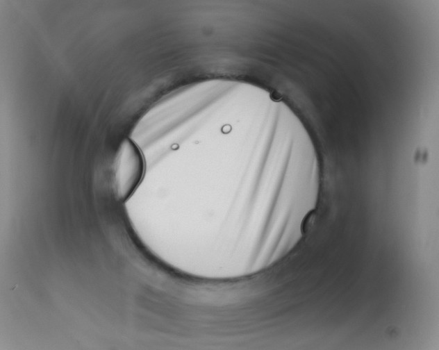 X0000113860017200910221451