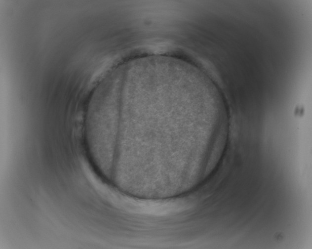 X0000113860018200910221451