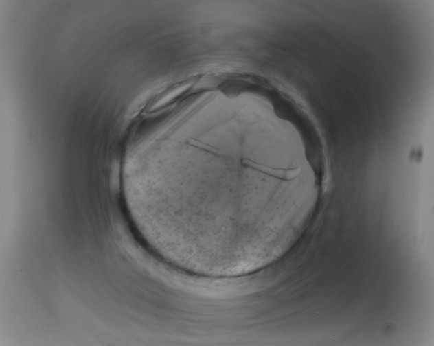 X0000113860019200910221451