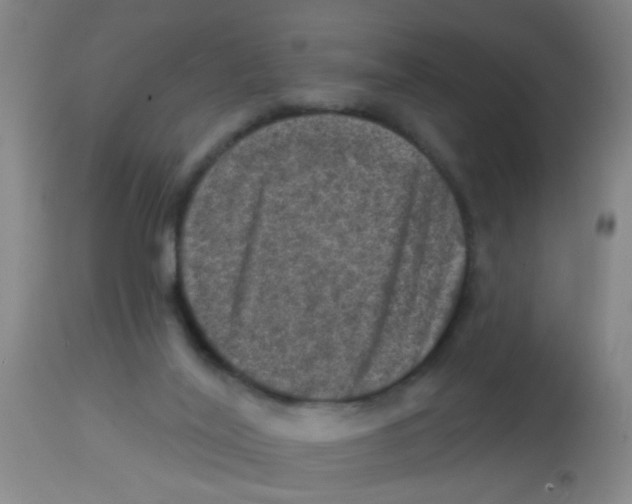 X0000113860020200910221451