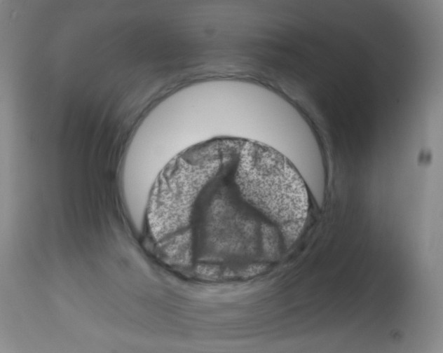 X0000113860021200910221451