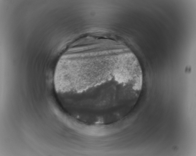 X0000113860024200910221451