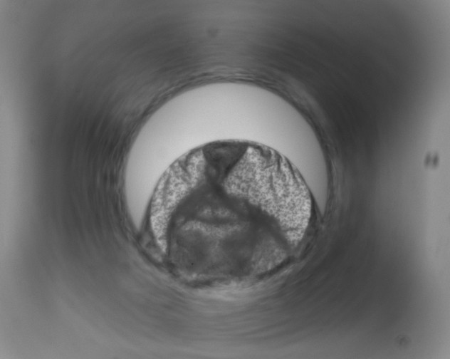 X0000113860025200910221451