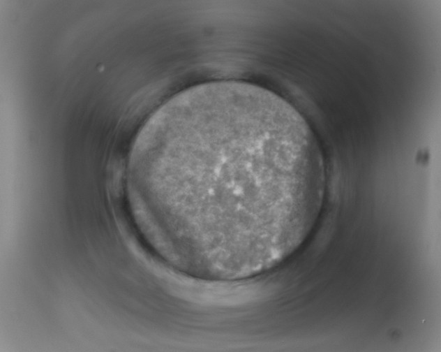 X0000113860026200910221451