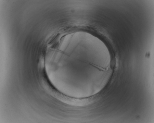 X0000113860027200910221451