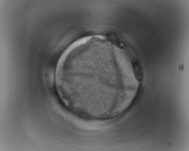 X0000113860028200910221451