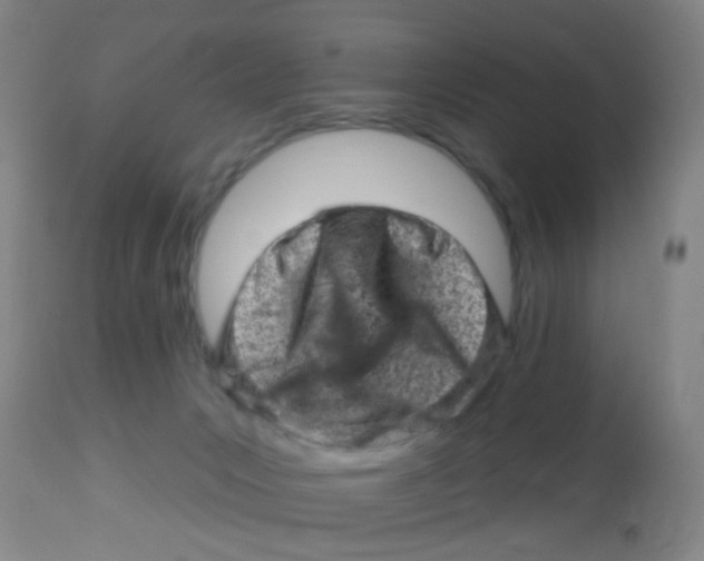 X0000113860031200910221451