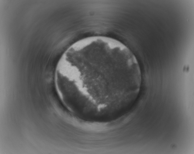 X0000113860032200910221451
