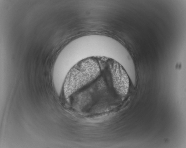 X0000113860033200910221451