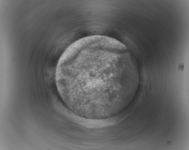 X0000113860034200910221451