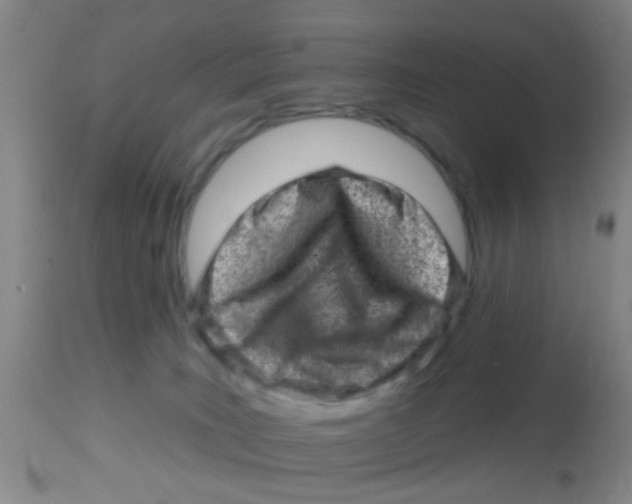 X0000113860035200910221451