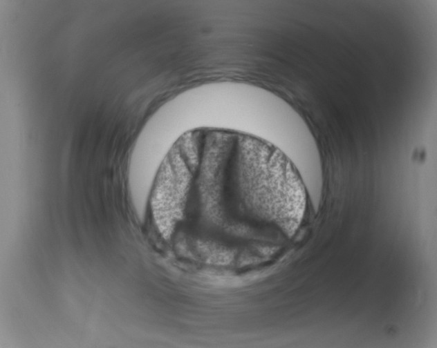 X0000113860037200910221451