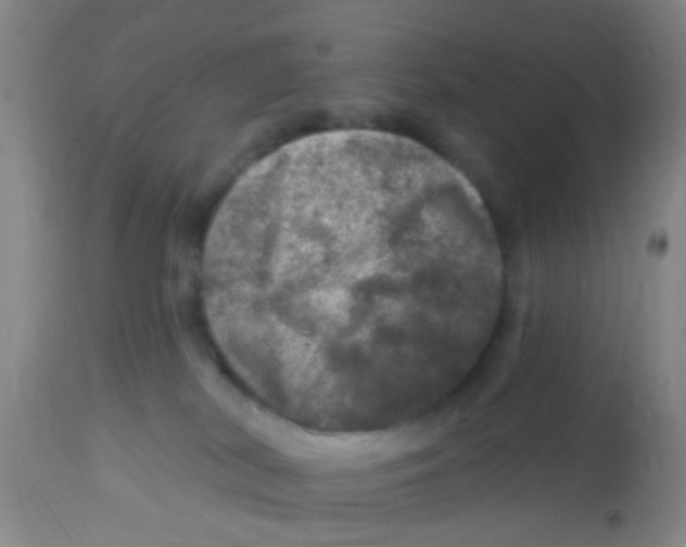 X0000113860038200910221451
