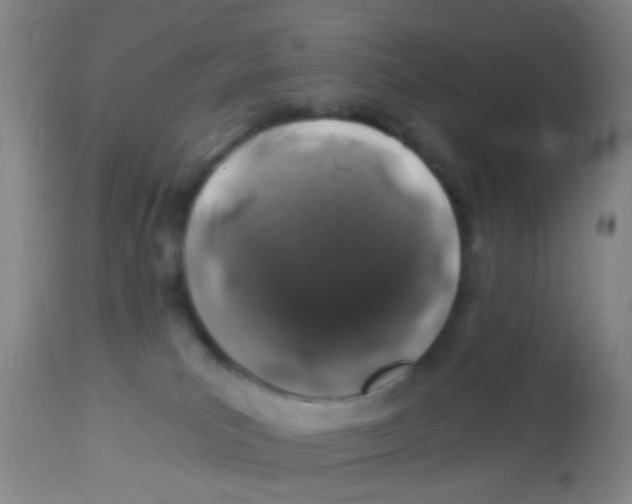 X0000113860039200910221451