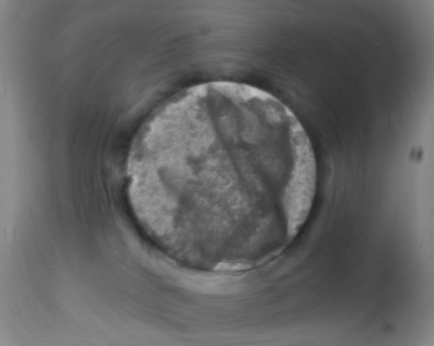 X0000113860040200910221451