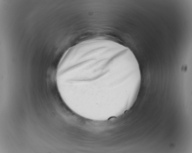 X0000113860041200910221451
