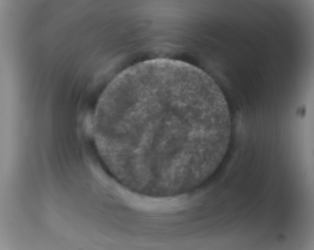 X0000113860042200910221451