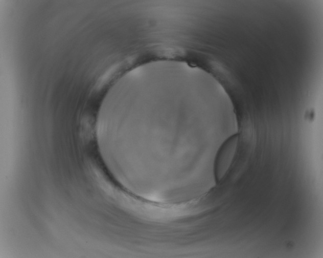 X0000113860043200910221451
