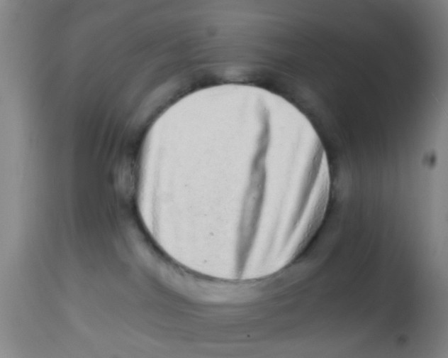 X0000113860044200910221451