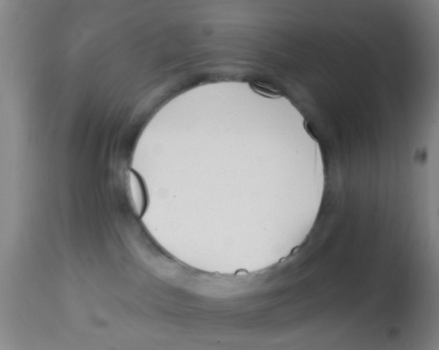 X0000113860045200910221451