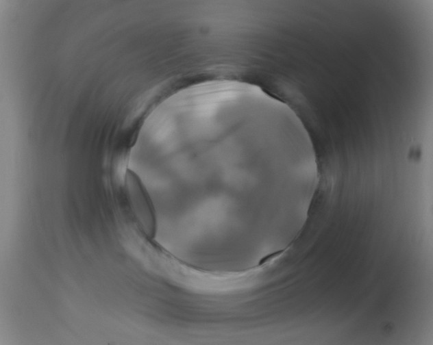 X0000113860047200910221451